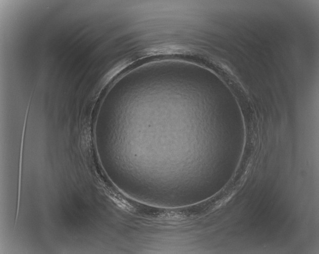 X0000060571073200511071013