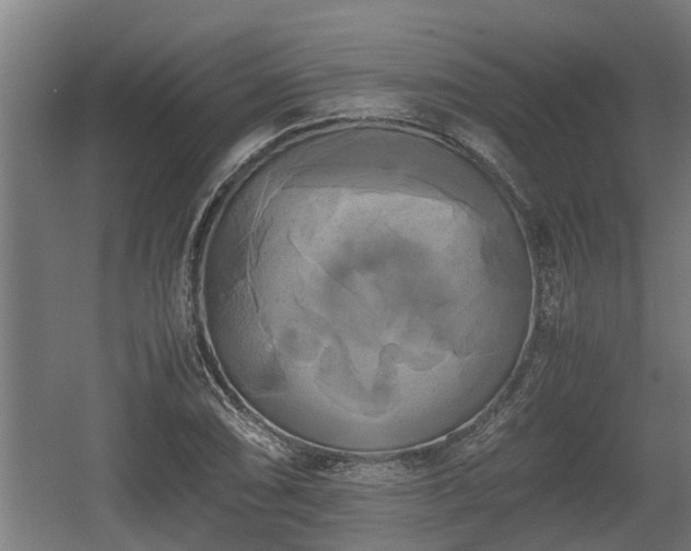 X0000060571074200511071013