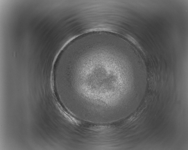 X0000060571076200511071013