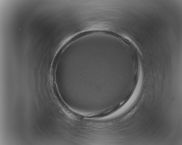 X0000060571077200511071013