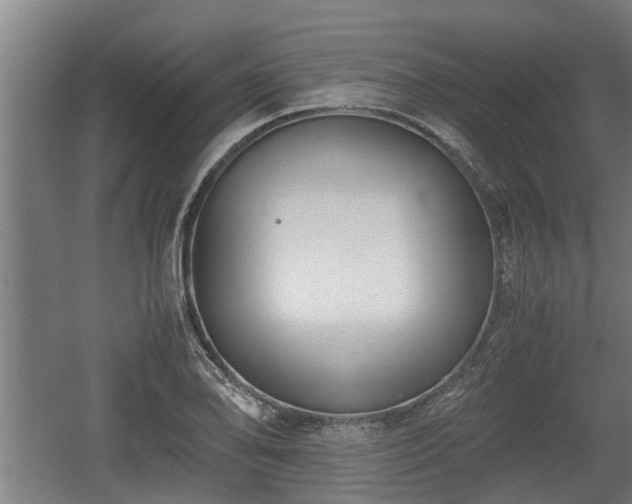 X0000060571078200511071013