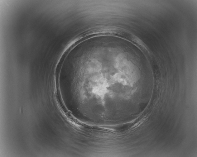 X0000060571079200511071013