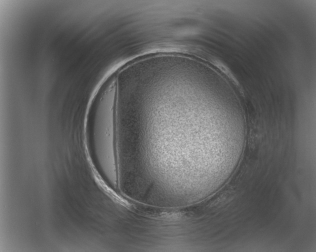 X0000060571080200511071013