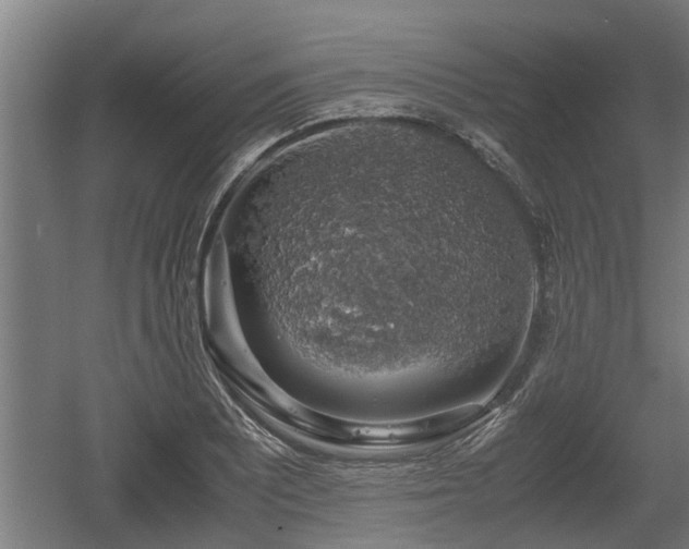 X0000060571081200511071013