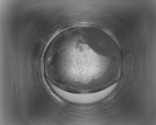 X0000060571083200511071013