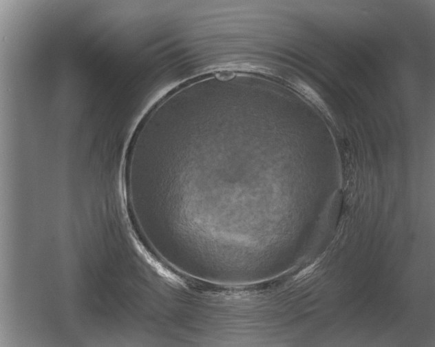 X0000060571084200511071013