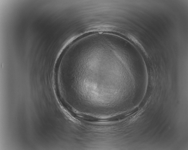 X0000060571085200511071013