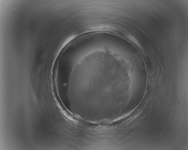 X0000060571087200511071013