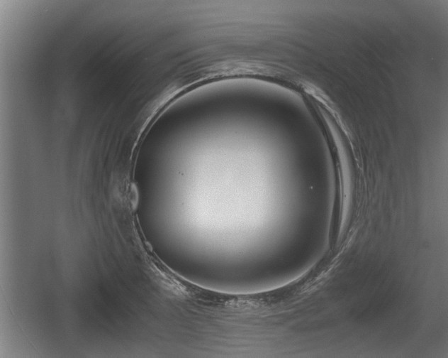 X0000060571089200511071013