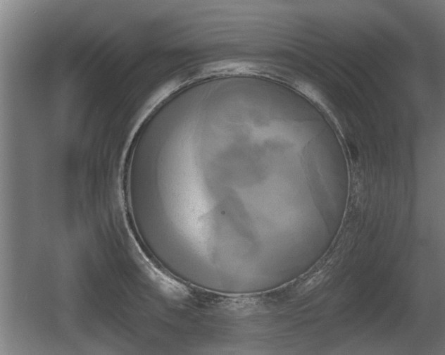 X0000060571090200511071013