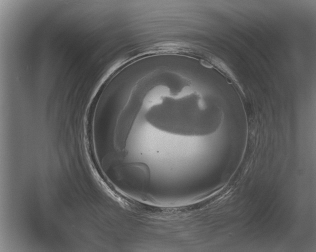 X0000060571091200511071013