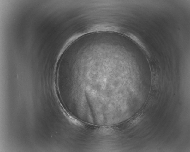 X0000060571094200511071013