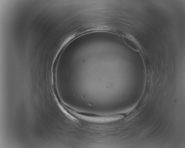 X0000060571095200511071013