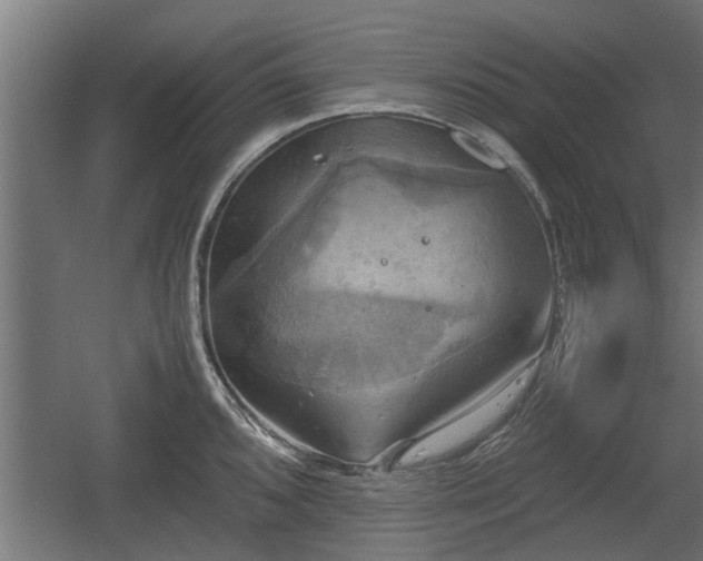 X0000060571096200511071013