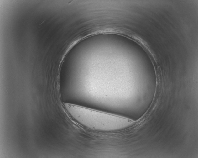 X0000060571097200511071013