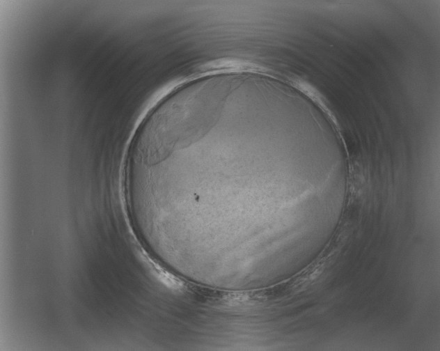 X0000060571098200511071013