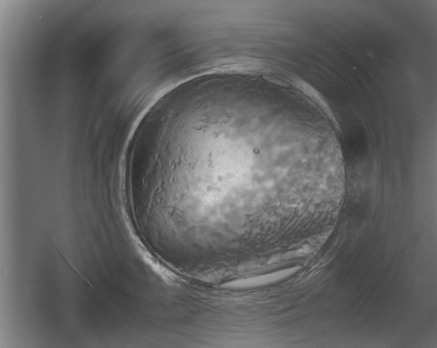 X0000060571099200511071013