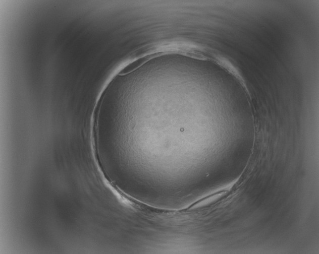 X0000060571103200511071012