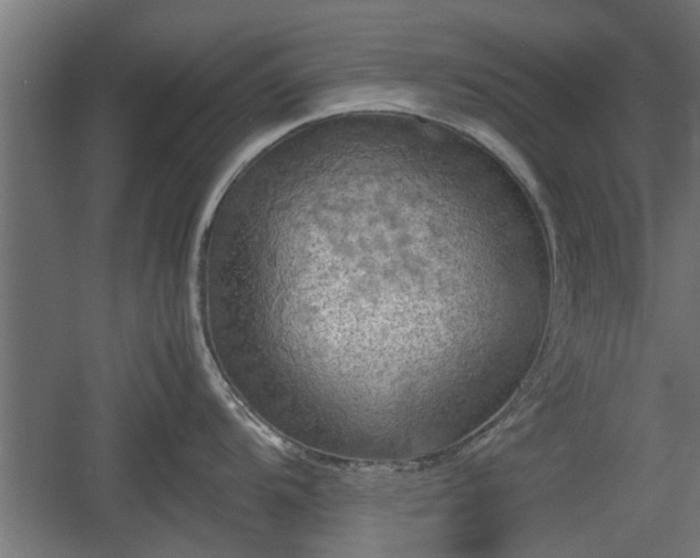 X0000060571104200511071012