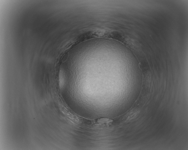 X0000060571105200511071012