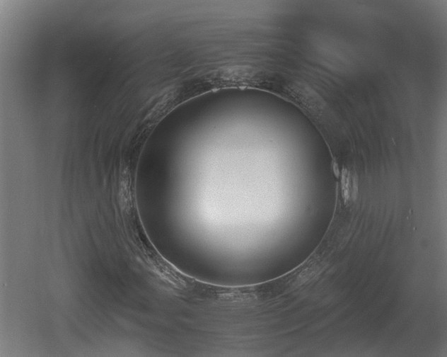 X0000060571107200511071012