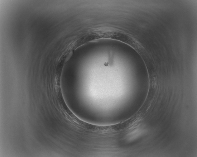 X0000060571108200511071012