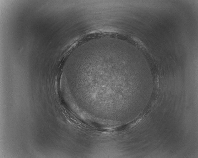 X0000060571110200511071012