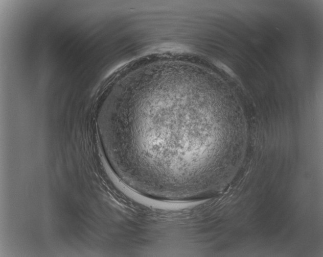 X0000060571112200511071012