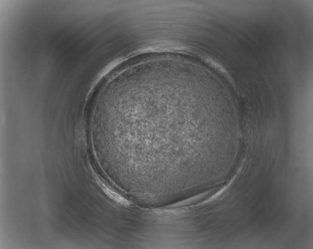 X0000060571114200511071012