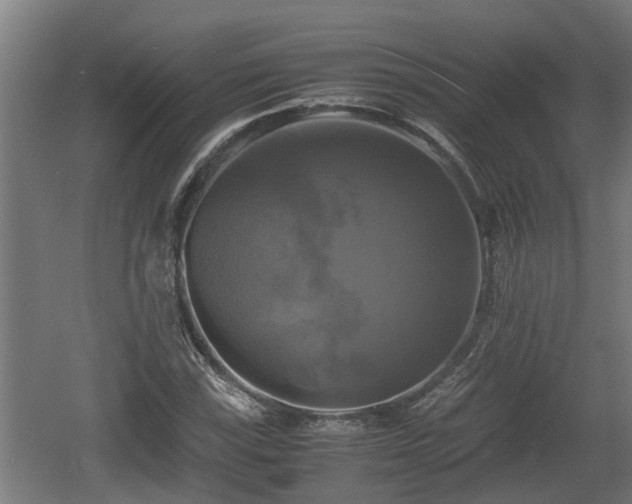 X0000060571115200511071012