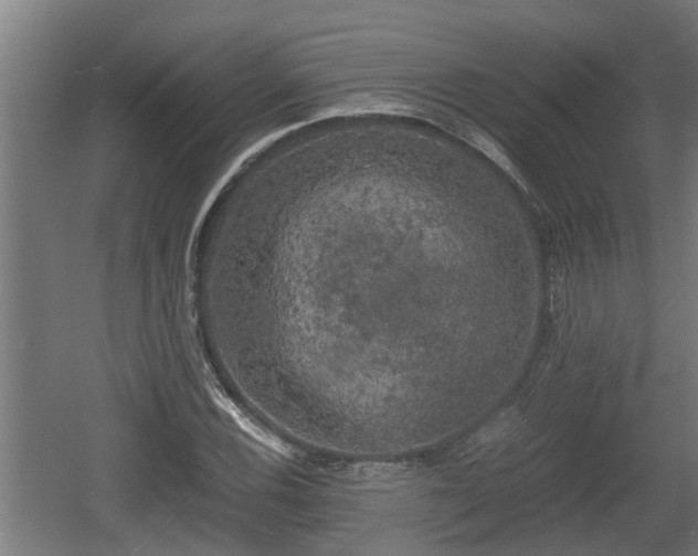 X0000060571116200511071012