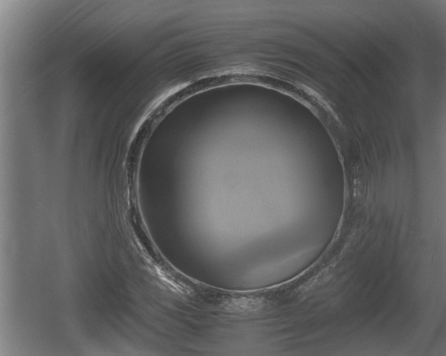 X0000060571117200511071012