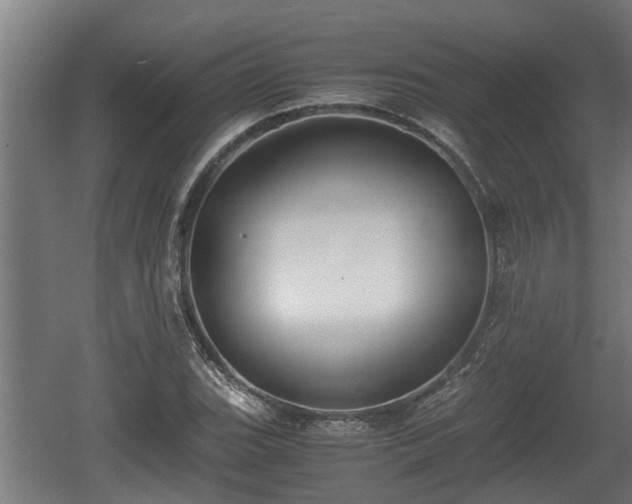 X0000060571119200511071012