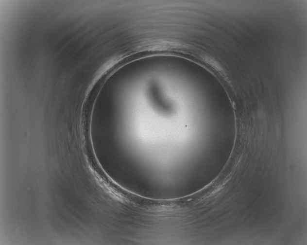 X0000060571122200511071012