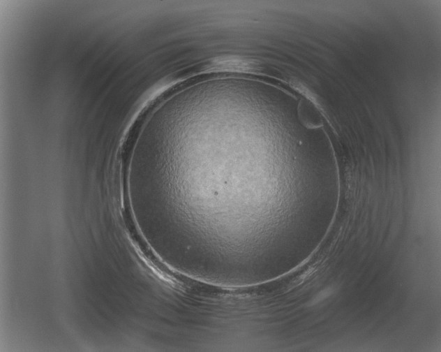 X0000060571123200511071012