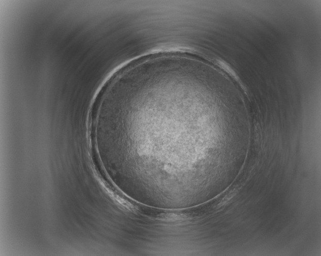 X0000060571124200511071012