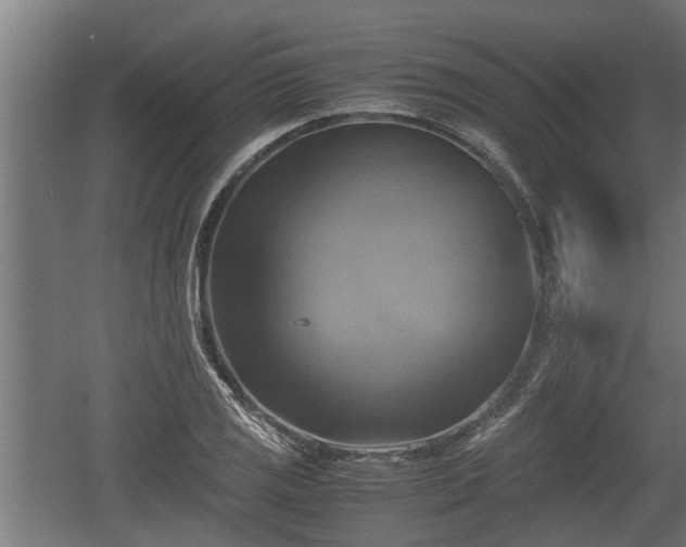 X0000060571125200511071012