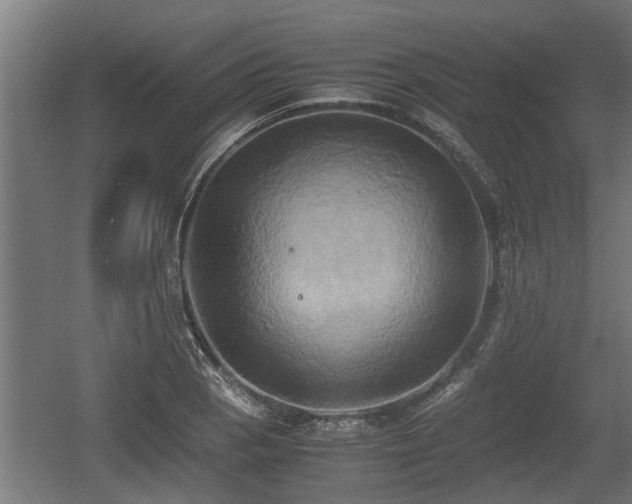 X0000060571129200511071012