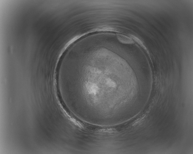 X0000060571133200511071012