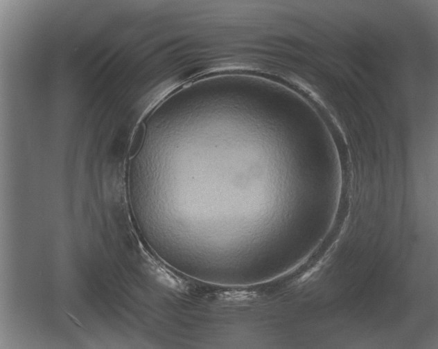 X0000060571137200511071012