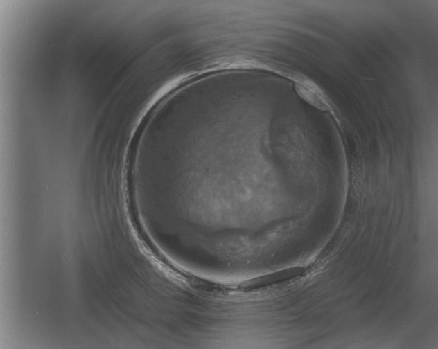 X0000060571142200511071012