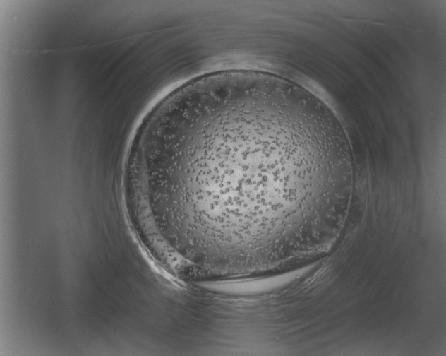 X0000060571144200511071012