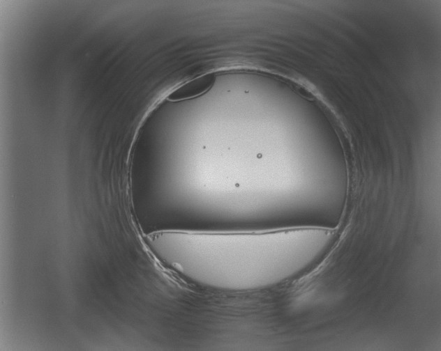 X0000060571145200511071012