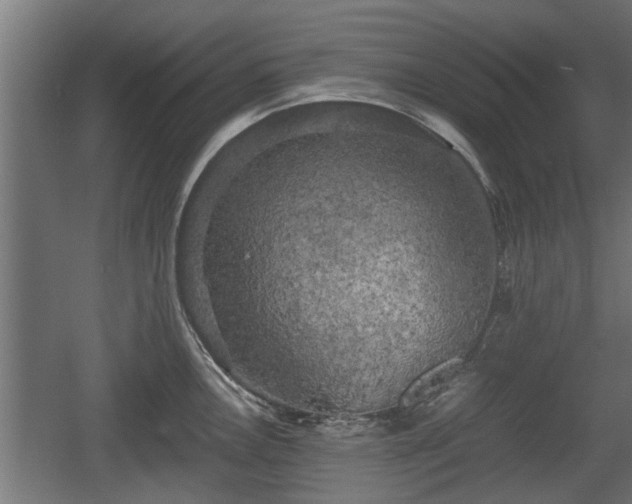 X0000060571146200511071012