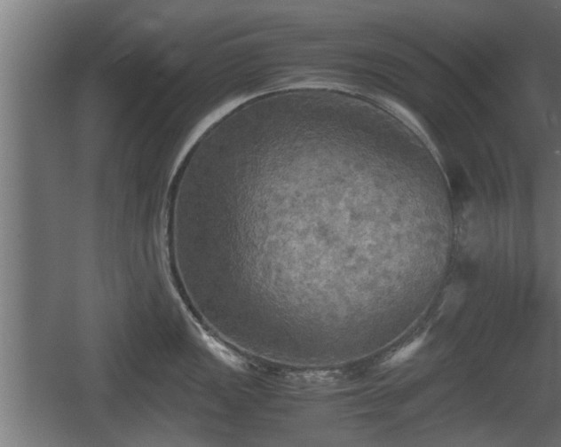 X0000060571149200511071012