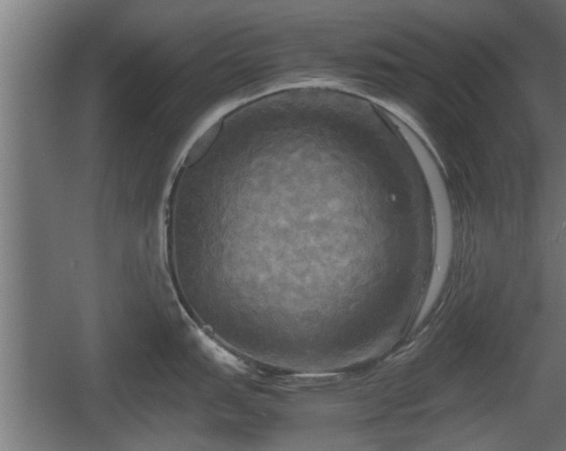 X0000060571151200511071012