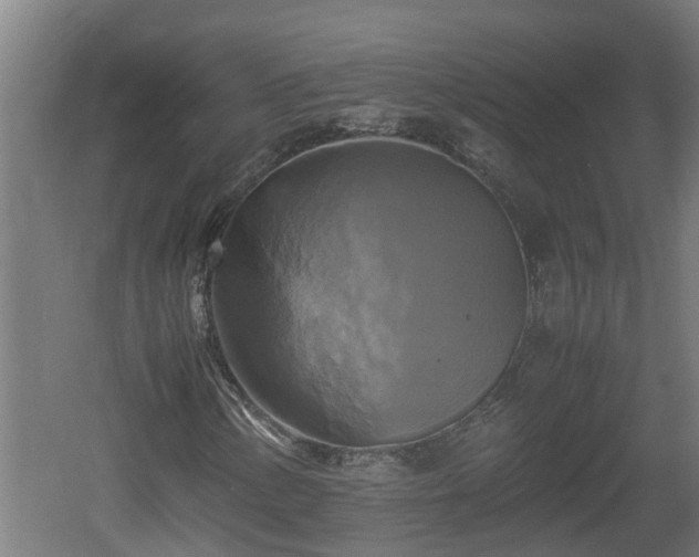 X0000060571154200511071012