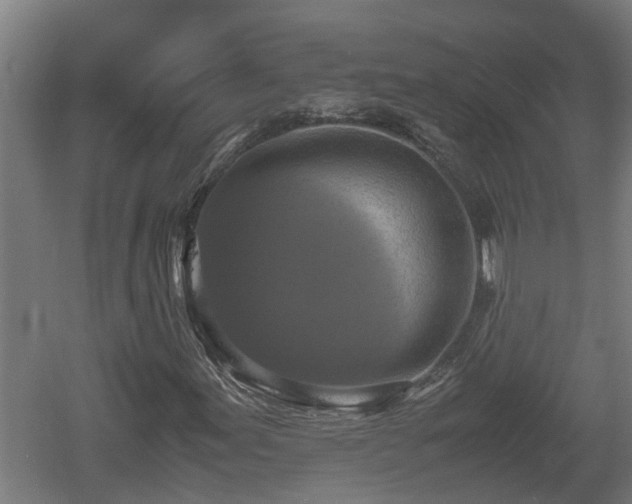 X0000060571155200511071012