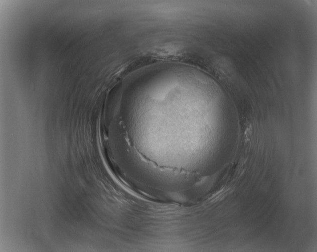 X0000060571156200511071012