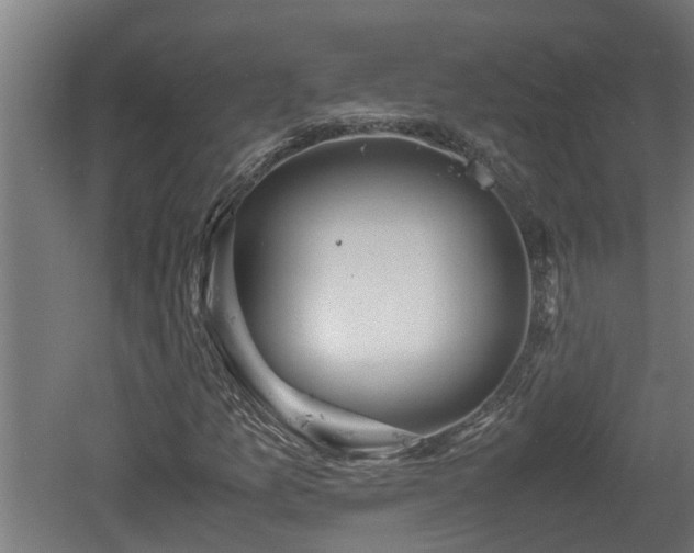 X0000060571157200511071012